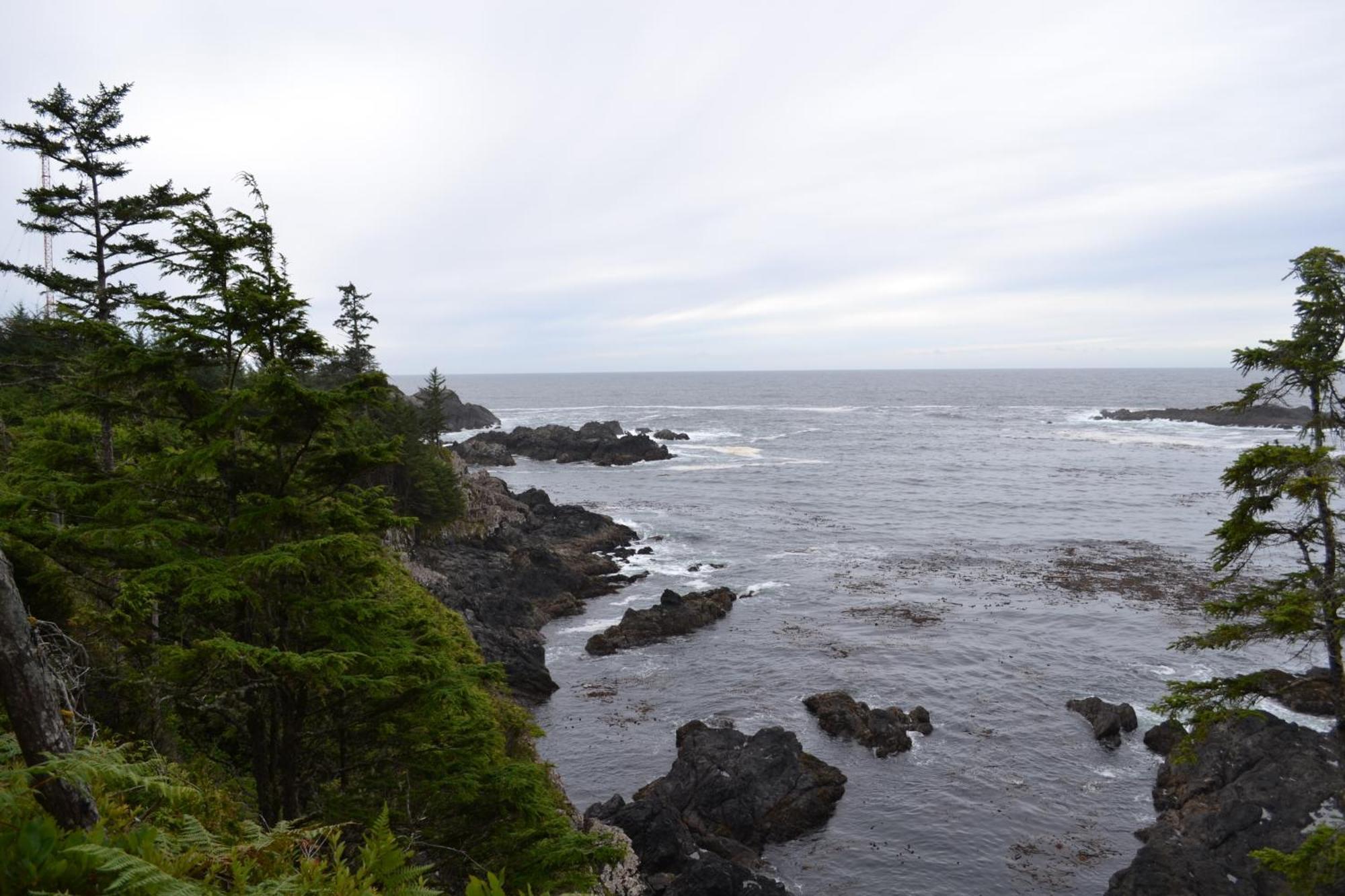 Easy On The Edge Ucluelet Exterior foto
