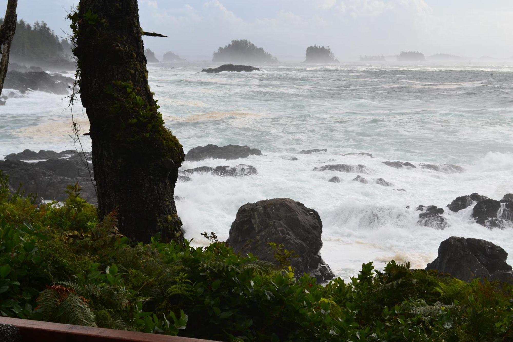 Easy On The Edge Ucluelet Exterior foto
