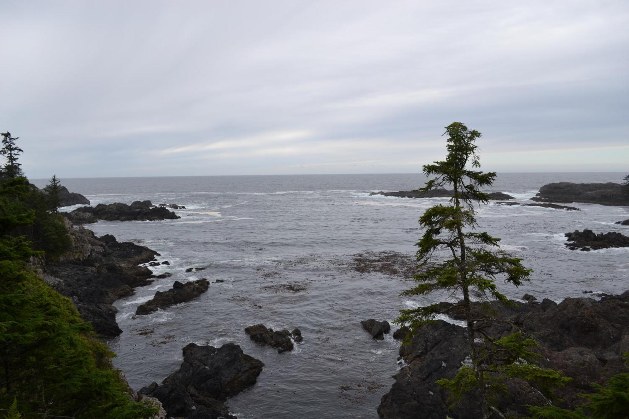 Easy On The Edge Ucluelet Exterior foto