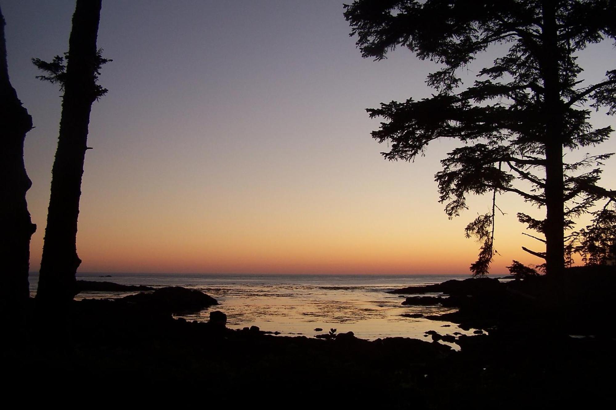 Easy On The Edge Ucluelet Exterior foto
