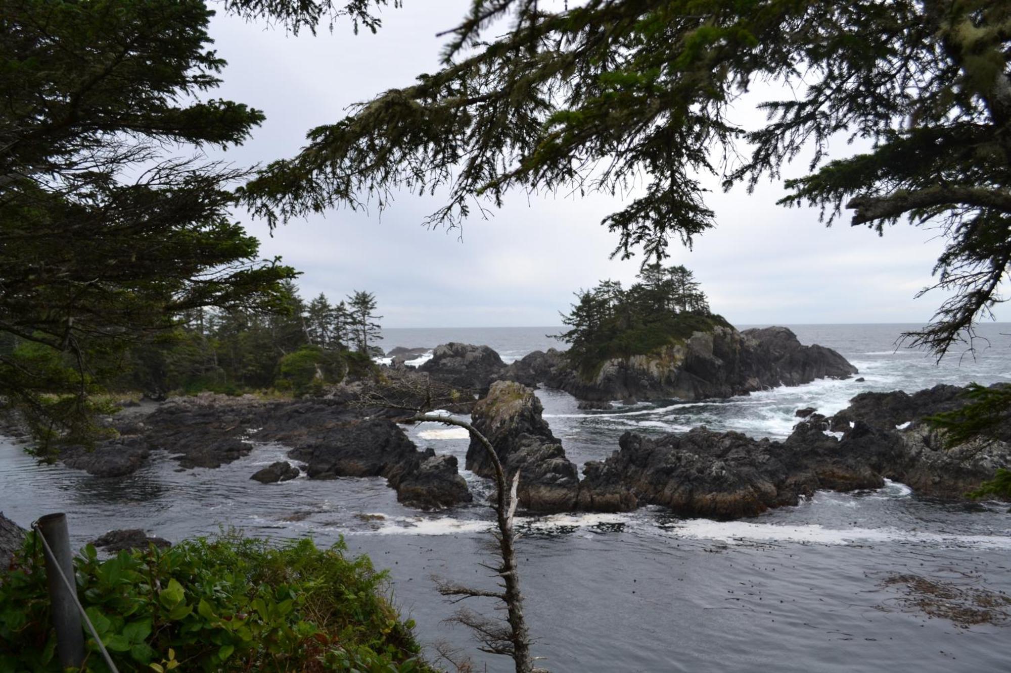 Easy On The Edge Ucluelet Exterior foto